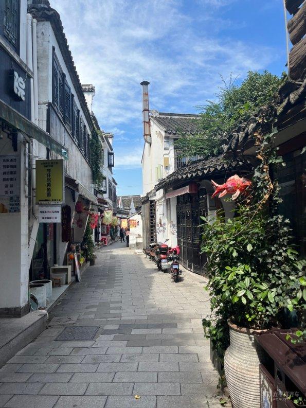 美妙森林找不同