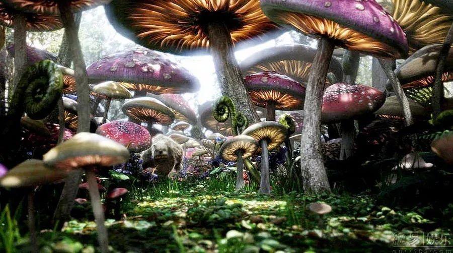 探索知识,尽在catch怎么读?问答平台